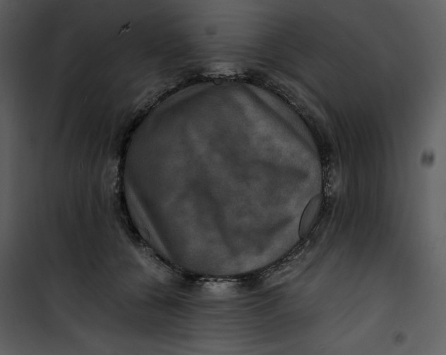 X0000100860560200807181139