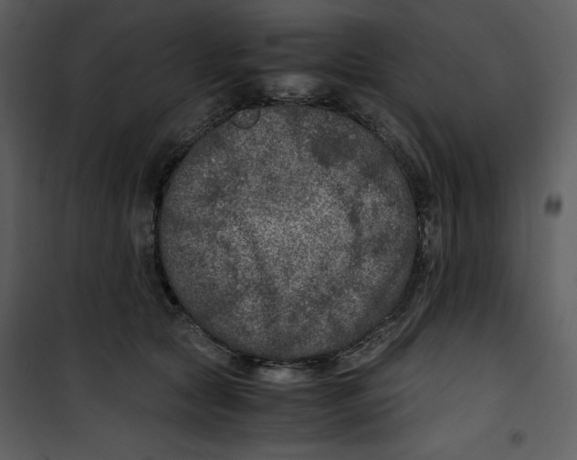 X0000100860561200807181139