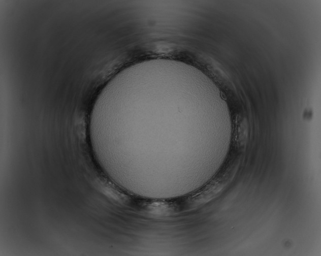 X0000100860562200807181139