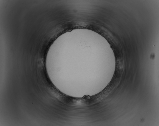 X0000100860564200807181139