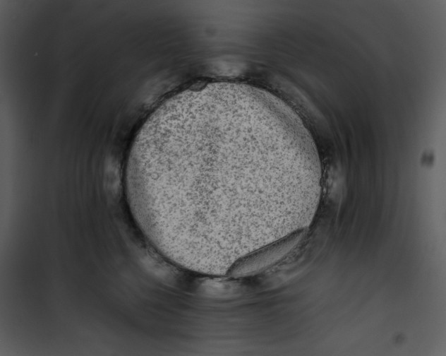 X0000100860568200807181139