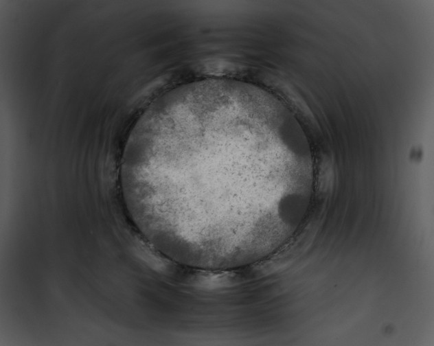 X0000100860569200807181139