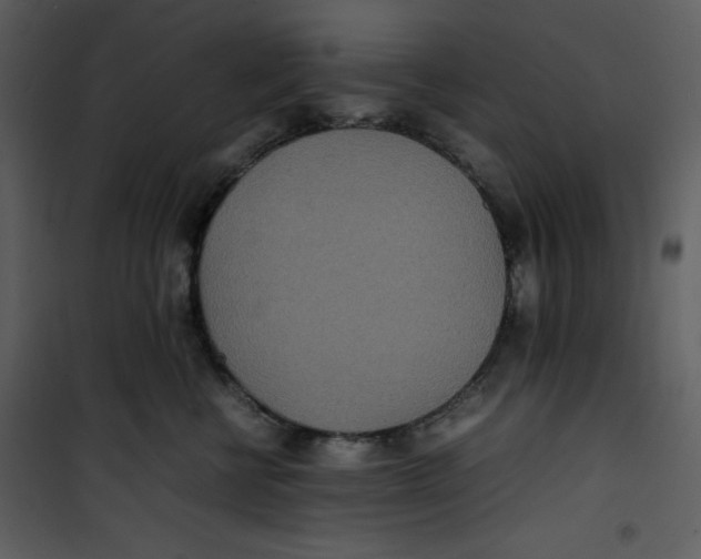 X0000100860570200807181139