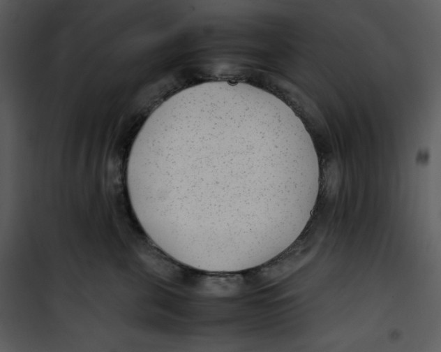 X0000100860571200807181139