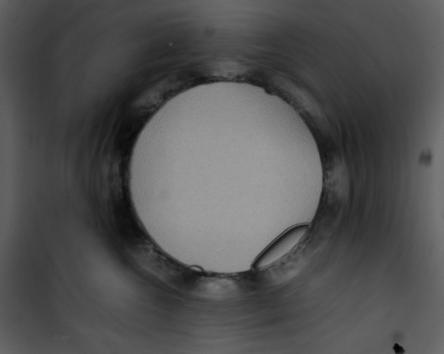 X0000100860572200807181139