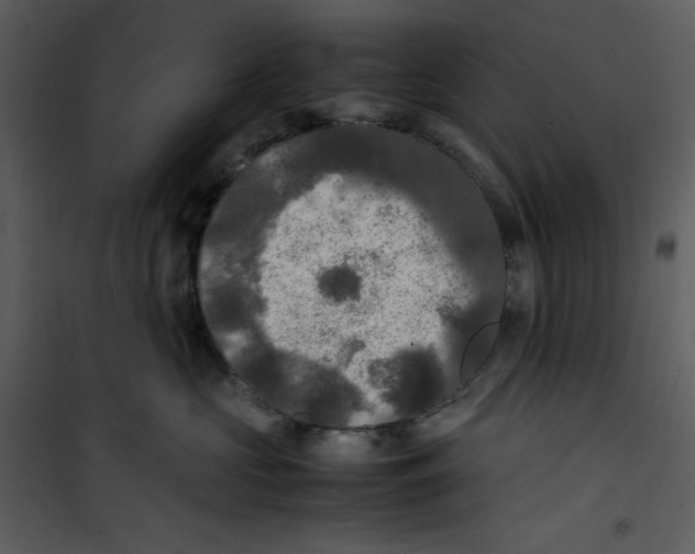 X0000100860573200807181139