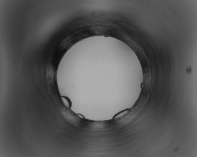 X0000100860574200807181139