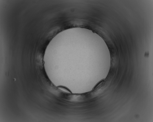 X0000100860575200807181139