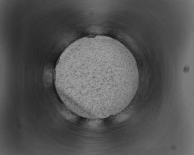 X0000100860576200807181139