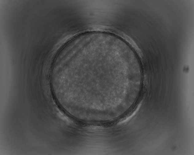 X0000100860577200807181138