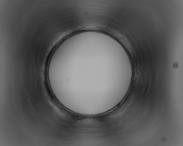 X0000100860578200807181138