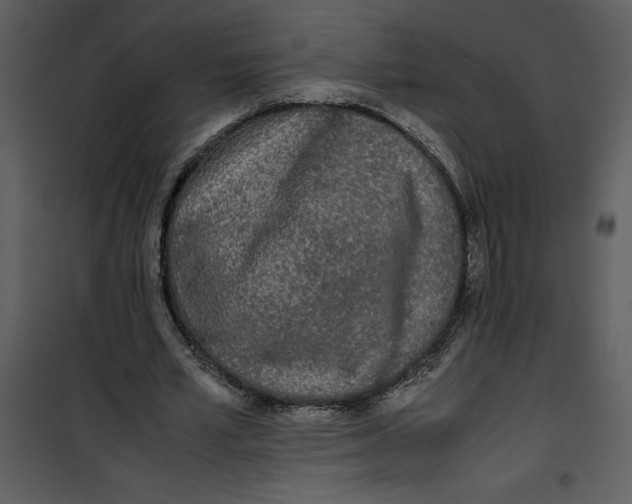 X0000100860581200807181138