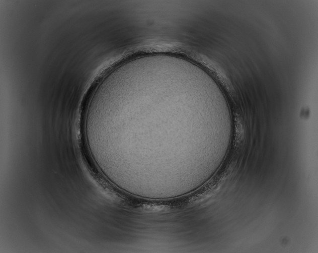 X0000100860582200807181138