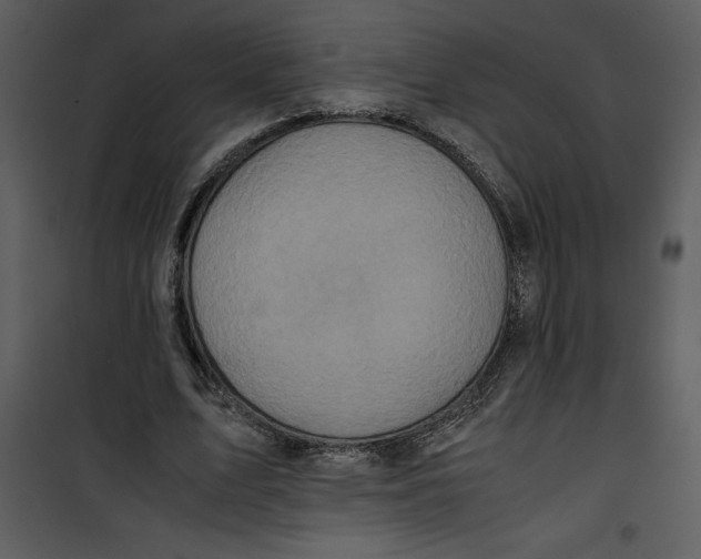 X0000100860583200807181138