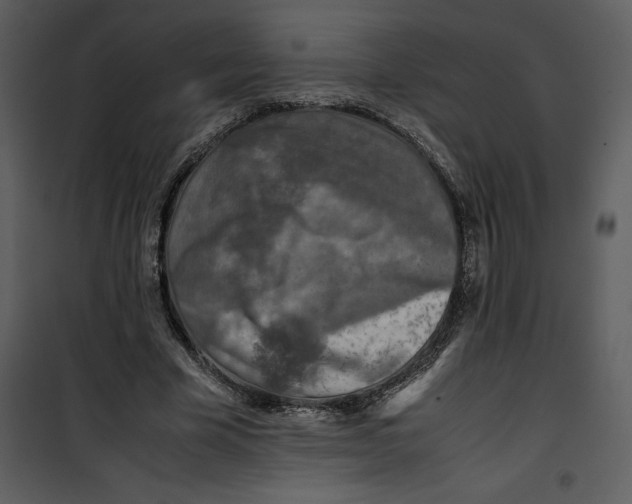 X0000100860585200807181138