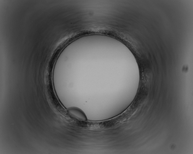 X0000100860587200807181138