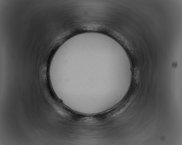 X0000100860589200807181138