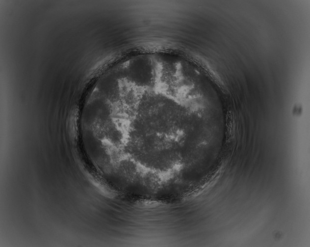 X0000100860590200807181138