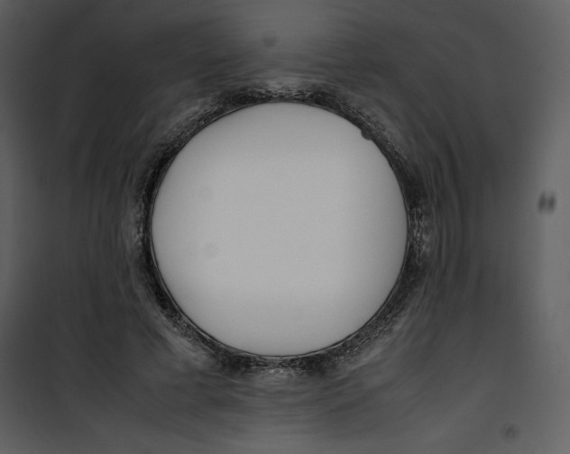 X0000100860593200807181138