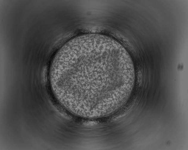 X0000100860594200807181138