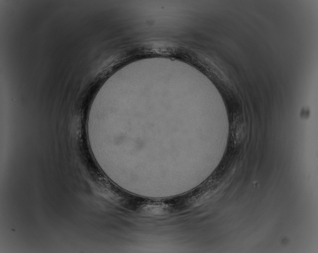 X0000100860595200807181138