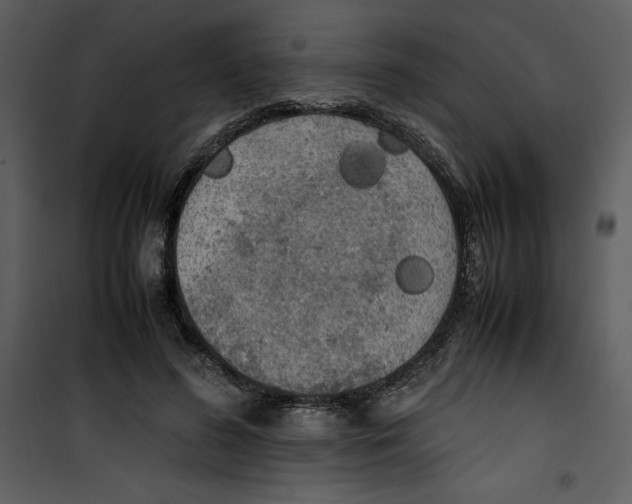 X0000100860596200807181138