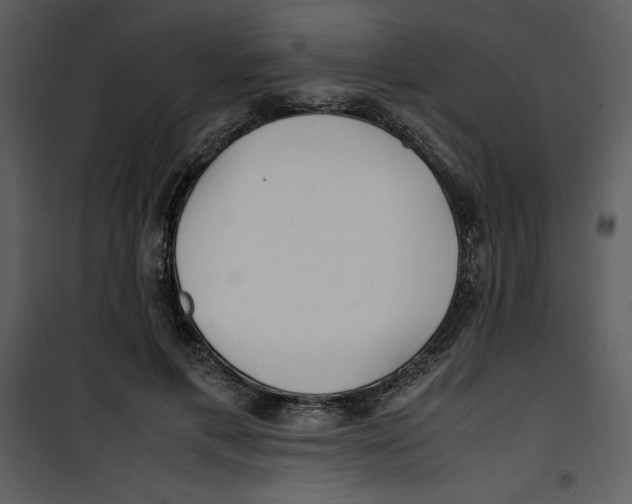 X0000100860597200807181138