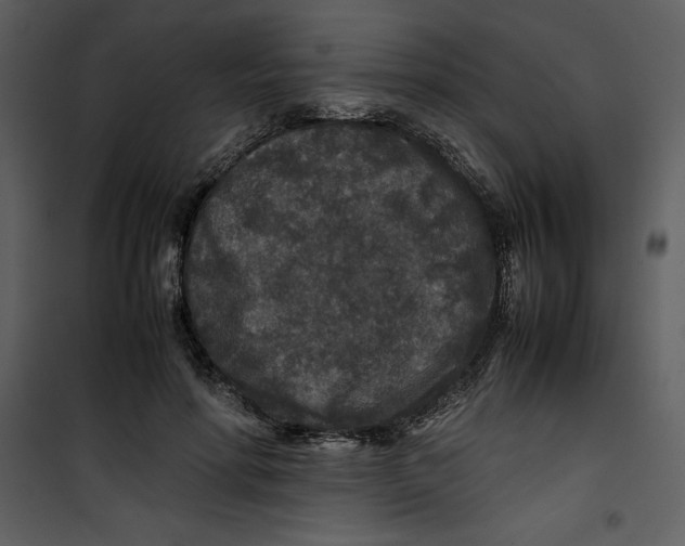 X0000100860598200807181138