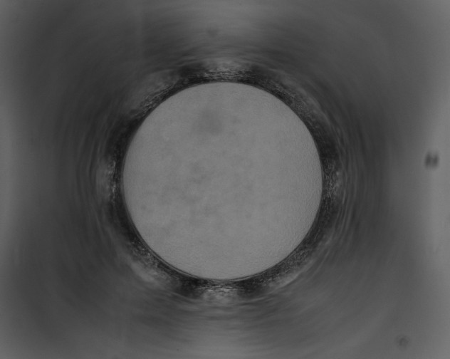 X0000100860599200807181138