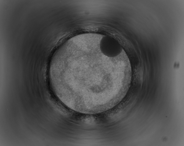 X0000100860600200807181138