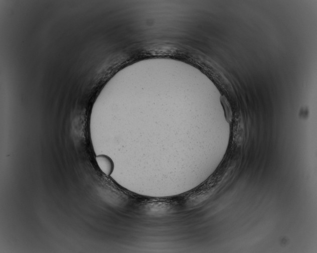 X0000100860604200807181138