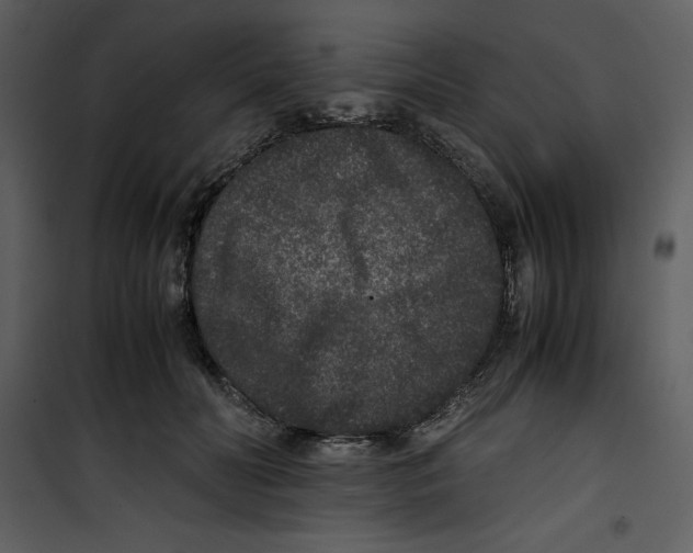 X0000100860606200807181138