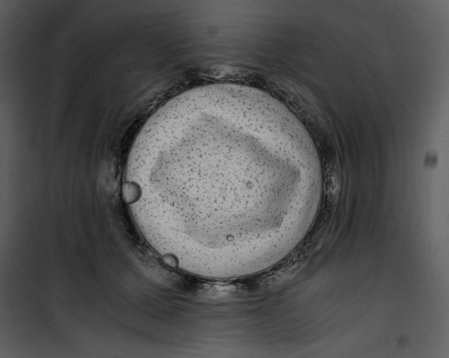 X0000100860607200807181138