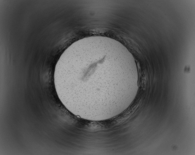 X0000100860608200807181138