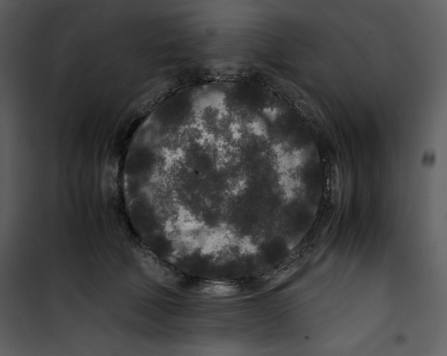 X0000100860610200807181138