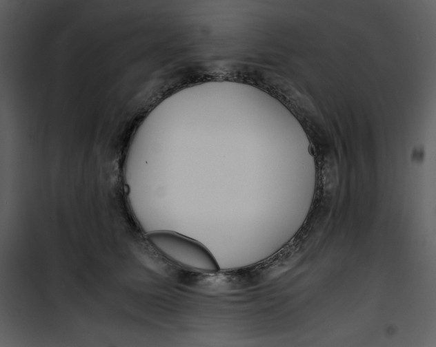 X0000100860611200807181138