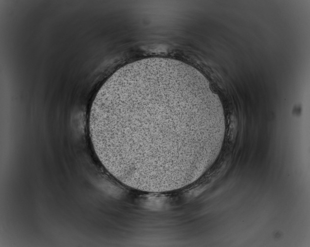 X0000100860612200807181138