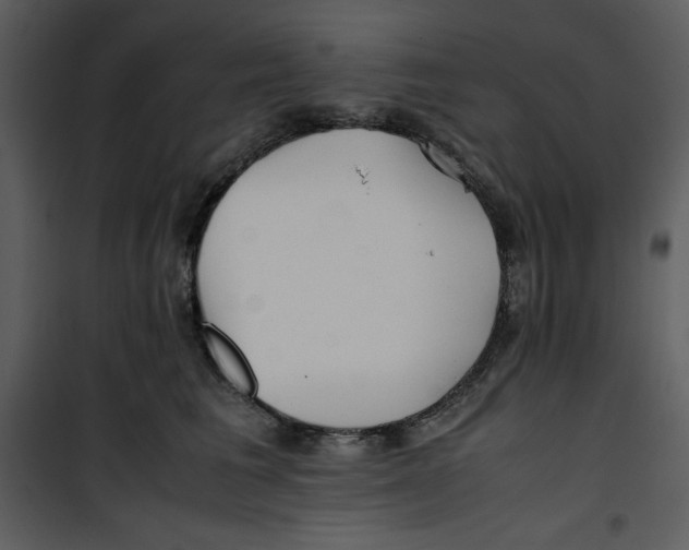 X0000100860613200807181138