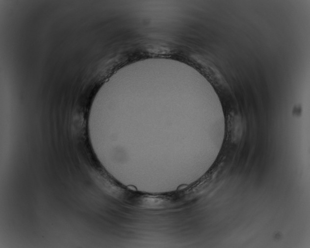 X0000100860614200807181138