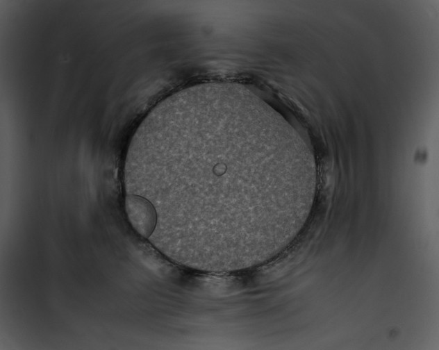 X0000100860615200807181138