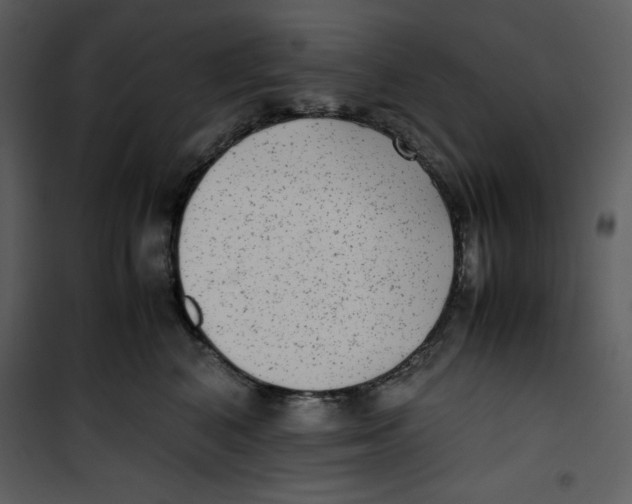 X0000100860616200807181138