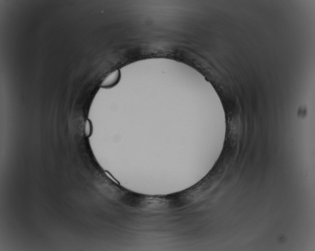 X0000100860617200807181138