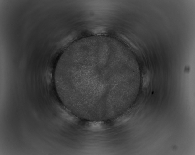 X0000100860618200807181138