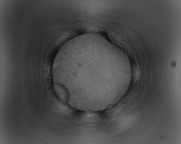 X0000100860619200807181138