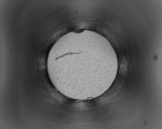 X0000100860620200807181138