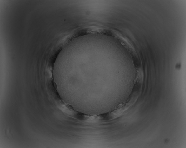 X0000100860621200807181138