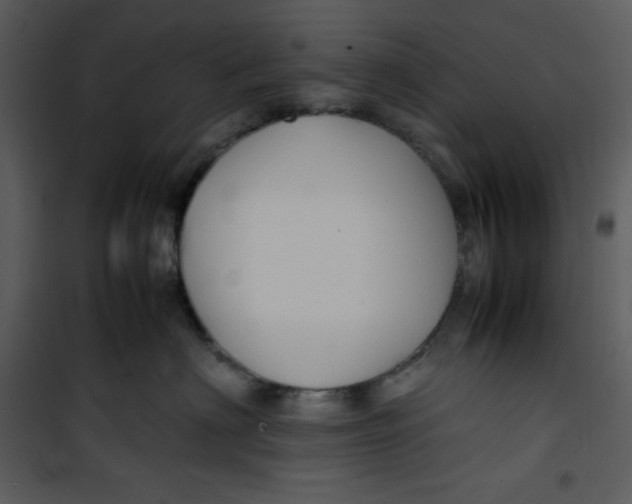 X0000100860622200807181138