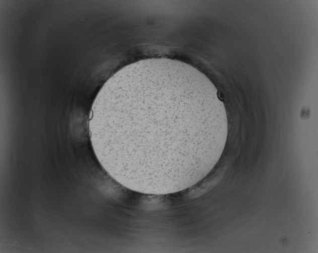 X0000100860624200807181137