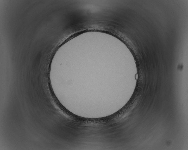 X0000100860625200807181137