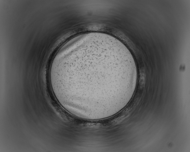 X0000100860626200807181137